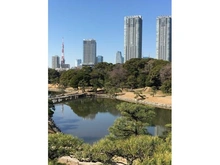 【東京都/港区浜松町】パークコート浜離宮ザタワー 浜離宮恩賜庭園（現地より約520m）