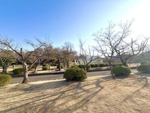 【神奈川県/横浜市磯子区汐見台】クレストレジデンス横浜　SKY VIEW SHIOMIDAI 久良岐公園（現地より約20m）