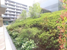 【神奈川県/川崎市宮前区宮前平】プラウドシティ宮崎台 ウエストコート 敷地内