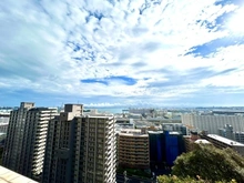 【神奈川県/横浜市磯子区磯子台】ブリリアシティ横浜磯子 D棟 眺望：敷地内から