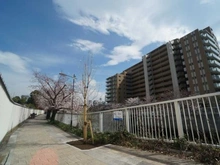 【東京都/品川区南品川】サンクタス南品川 目黒川遊歩道（現地より約10m）