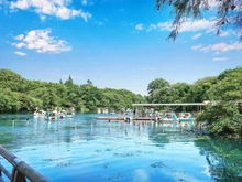 【東京都/三鷹市下連雀】プラウドシティ吉祥寺 E棟 井の頭恩賜公園（現地より約400m）