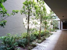 【東京都/新宿区四谷三栄町】パークホームズ四谷ザレジデンス 共用部