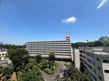 【東京都/新宿区戸山】戸山ハイツ27号棟 眺望