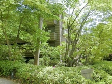 【東京都/世田谷区玉川】パークコート二子玉川 弐番館 アプローチ
