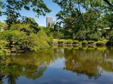 【東京都/新宿区四谷】クラッシィタワー新宿御苑 新宿御苑（現地より約150m）