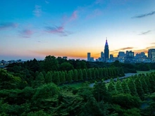 【東京都/新宿区南元町】ライオンズ外苑の杜 新宿御苑（現地より約1,720m）