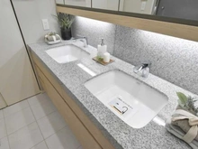 【東京都/中央区晴海】ザ・パークハウス晴海タワーズティアロレジデンス 洗面室：2ボウル洗面化粧台