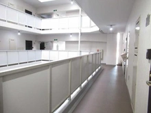 【東京都/新宿区住吉町】ウイン四ツ谷 共用部