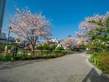 【東京都/新宿区大京町】マジェスティハウス新宿御苑パークナード 富久さくら公園（現地より約1,100m）