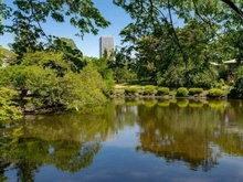 【東京都/新宿区四谷】クラッシィタワー新宿御苑 新宿御苑（現地より約130m）