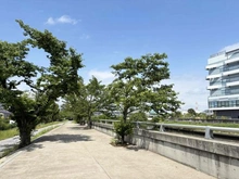 【東京都/板橋区蓮根】パークホームズ板橋蓮根二番街 新河岸川沿い（現地より約80m）