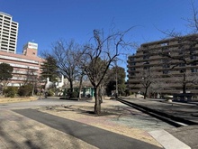 【東京都/北区東十条】プラウド赤羽ディアージュ 赤羽公園（現地より約850m）