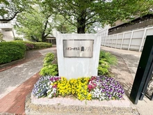 【京都府/京都市中京区西ノ京島ノ内町】ネオコーポラス島ノ内 B棟 マンション表札