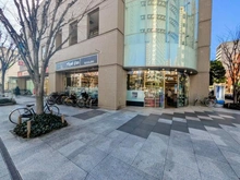 【東京都/江東区白河】イーストコモンズ清澄白河セントラルタワー マツモトキヨシ 白河3丁目店（現地より約230m）