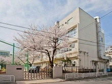 【東京都/江東区新大橋】東京アインスリバーサイドタワー 江東区立八名川小学校（現地より約430m）