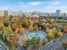 【東京都/江東区木場】アデニウムコート木場公園 眺望：バルコニーから
木場公園を望みます(天候による)