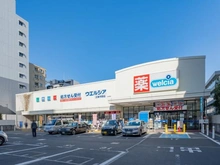 【東京都/江東区平野】プラウドタワー清澄白河 ウエルシア江東平野店（現地より約570m）