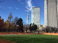 【東京都/江東区亀戸】朝日プラザ亀戸 錦糸公園（現地より約500m）