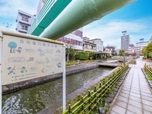 【東京都/江東区越中島】プラウドシティ越中島アクアテラス 古石場川親水公園（現地より約850m）：