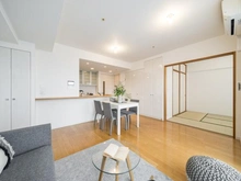 【東京都/江東区新大橋】東京アインスリバーサイドタワー LDK