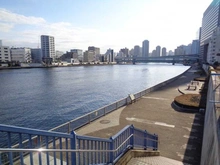 【東京都/江東区新大橋】東京アインスリバーサイドタワー  隅田川テラス（現地より約20m）