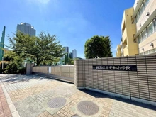 【東京都/練馬区石神井町】プラウドタワー石神井公園 光和小学校（現地より約500m）