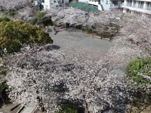 【神奈川県/横浜市旭区鶴ケ峰】グリーンビレッジ鶴ヶ峰 眺望