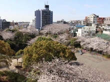 【神奈川県/横浜市旭区鶴ケ峰】グリーンビレッジ鶴ヶ峰 眺望