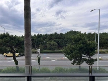 【神奈川県/藤沢市鵠沼海岸】クリオ鵠沼海岸グランロワ 眺望：バルコニーから