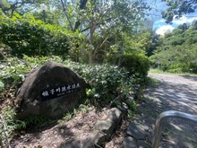 【神奈川県/横浜市旭区鶴ケ峰】横浜鶴ヶ峰ビューハイツ 帷子川親水緑道（現地より約240m）