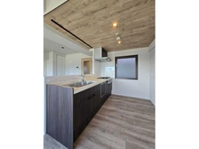 【神奈川県/横浜市南区六ツ川】サウスヒルズ横浜弘明寺 キッチン