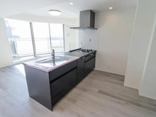 【東京都/大田区下丸子】シエルズガーデン　 エールタワー キッチン