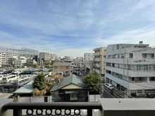 【東京都/墨田区立花】ダイアパレスアビエント亀戸 眺望