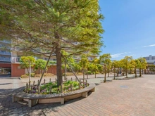 【東京都/江東区大島】東大島ファミールハイツ 1号棟 敷地内