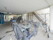 【東京都/江東区亀戸】ハイネス亀戸 駐輪場