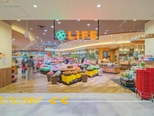 【東京都/江東区亀戸】富士見コーポビアネーズ  ライフカメイドクロック店（現地より約480m）
