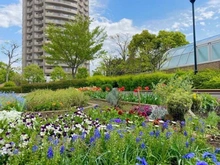 【東京都/江東区大島】ザ・ガーデンタワーズ　サンセットタワー 敷地内