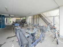 【東京都/江東区亀戸】ハイネス亀戸 駐輪場