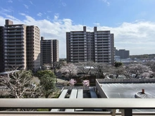 【千葉県/船橋市藤原】エステ・シティ船橋五番館 眺望