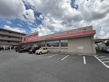 【兵庫県/尼崎市武庫町】セザール武庫之荘ガーデン サンドラッグ 武庫之荘店（現地より約60m）：