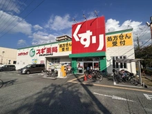 【兵庫県/尼崎市水堂町】アークレジデンス尼崎立花 スギ薬局尼崎水堂町店（現地より約30m）：