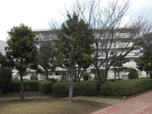 【千葉県/千葉市美浜区高浜】稲毛高浜南団地 8号棟 外観