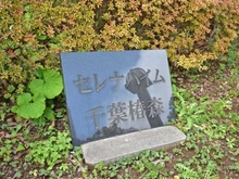 【千葉県/千葉市中央区椿森】セレナハイム千葉椿森 マンション表札