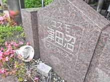 【千葉県/船橋市飯山満町】コスモ津田沼グレイスシティ A棟 マンション表札