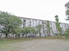 【千葉県/習志野市谷津】谷津遊園ハイツF棟 敷地内