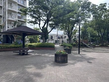 【千葉県/松戸市新松戸】サンライトパストラル六番街 B棟 敷地内