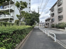 【千葉県/松戸市新松戸】サンライトパストラル六番街 B棟 前面道路