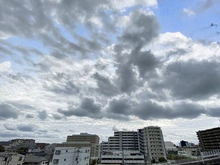 【千葉県/千葉市中央区末広】ウィザースレジデンス蘇我 眺望