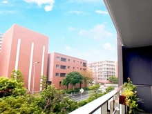 【千葉県/千葉市美浜区打瀬】幕張ベイタウン　グリーナC棟 眺望